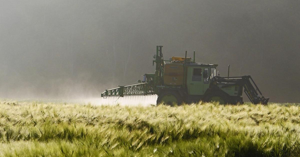 Erre az adatbázisra vártál: Magyarul is elérhető a gyomok és ellenszereik listája