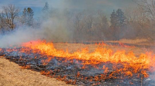 Füstbe ment támogatás? – Ne a tarlóégetésen múljon