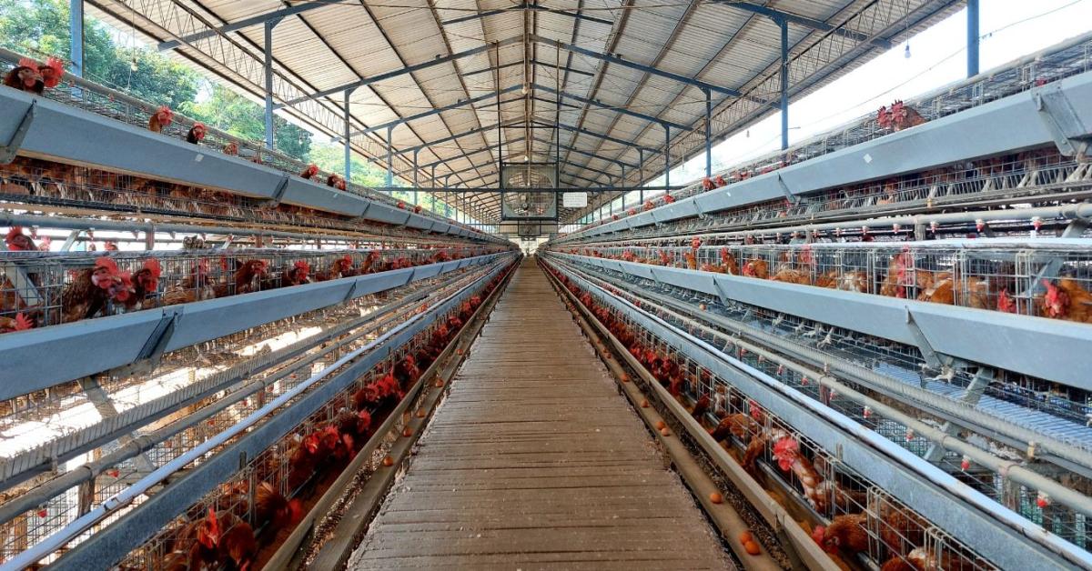Lengyel agrármodell: tudunk-e tanulni belőle? Lengyel agrármodell: tudunk-e tanulni belőle?