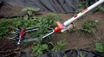 Teszteltük a WOLF-Garten kertészeti eszközöket a gyümölcsösben