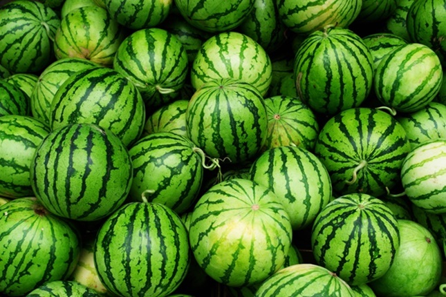 dinnye