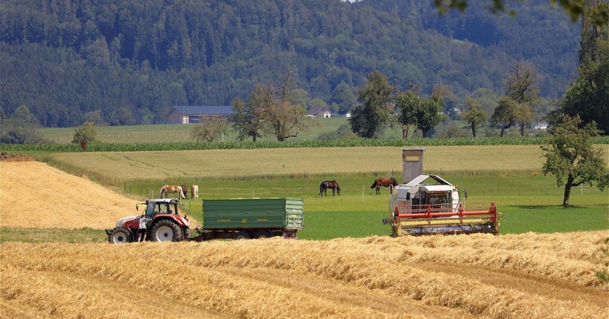 Időjárás: érkeznek a zivatarok!