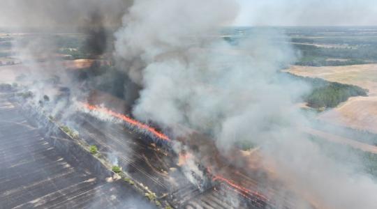 Gabonaföldek lángoltak országszerte – ezt kérik a gazdák! +VIDEÓ