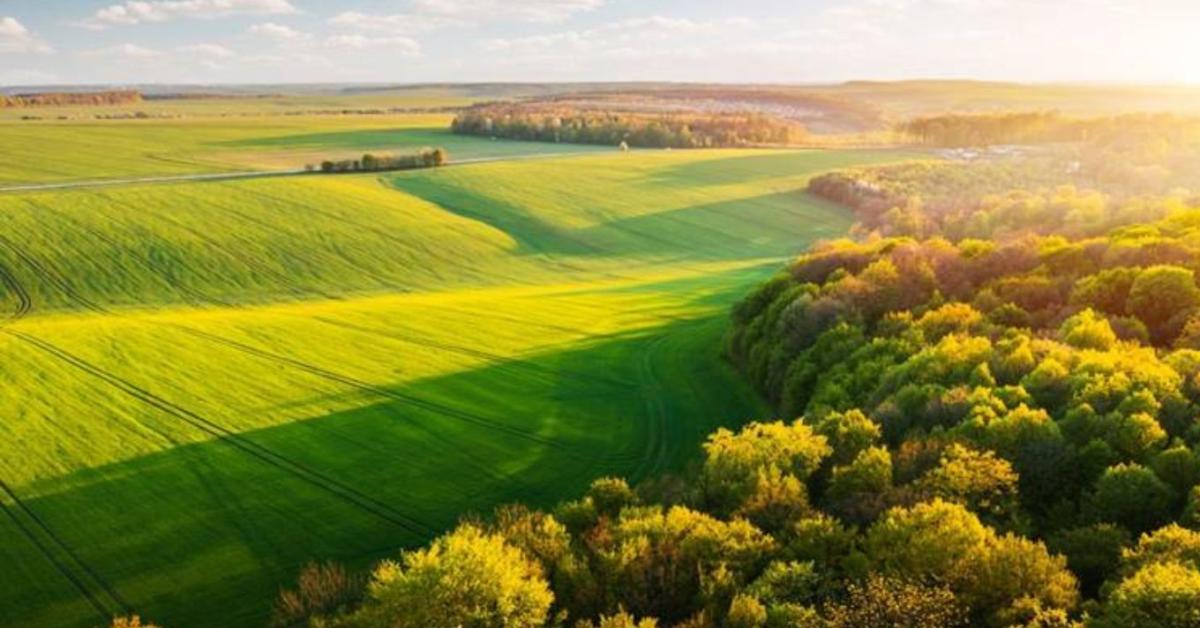 Több termés, kevesebb vegyszer? Így segít a természet