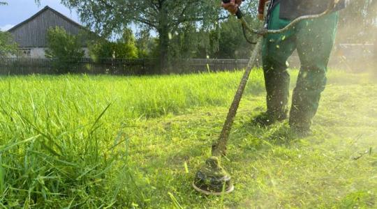 Így válassz fűkaszát: tippek és tanácsok a tökéletes fűkasza megtalálásához