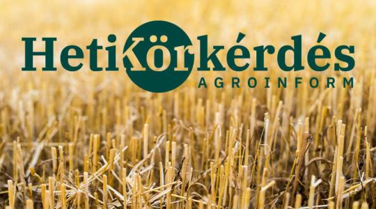 Mit jelent a rendszerszintű gondolkodást szem előtt tartó, hatékony tarlókezelés? – Heti Körkérdés