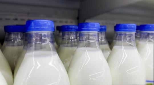 Visszaesett az agrárexport, csökkent a külkereskedelmi többlet