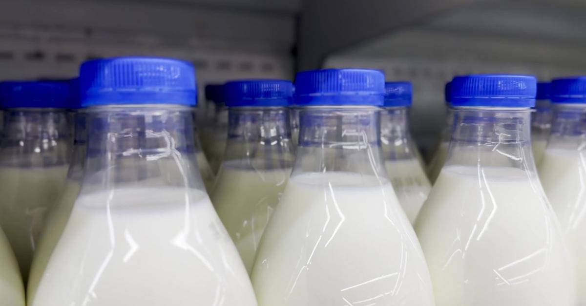 Visszaesett az agrárexport, csökkent a külkereskedelmi többlet