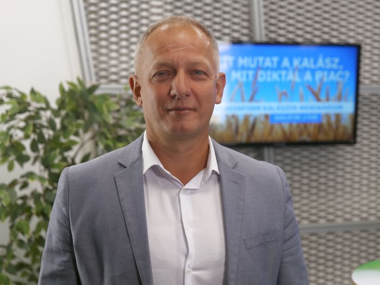webinárium