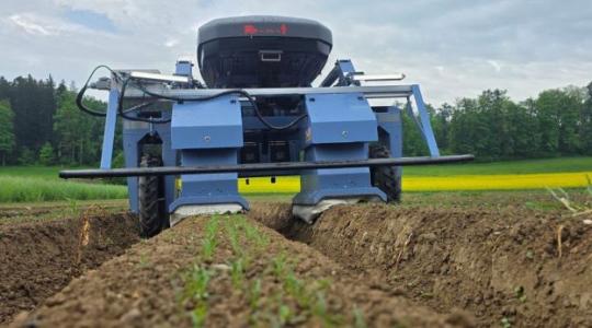 Ez a svájci robot gyomlál helyetted – vegyszer nélkül, éjjel-nappal! +VIDEÓ Ez a svájci robot gyomlál helyetted – vegyszer nélkül, éjjel-nappal! +VIDEÓ