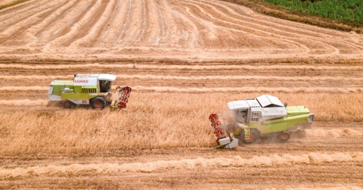 Időjárás: Zivatar, felhőszakadás és akár jégeső is jöhet Időjárás: Zivatar, felhőszakadás és akár jégeső is jöhet