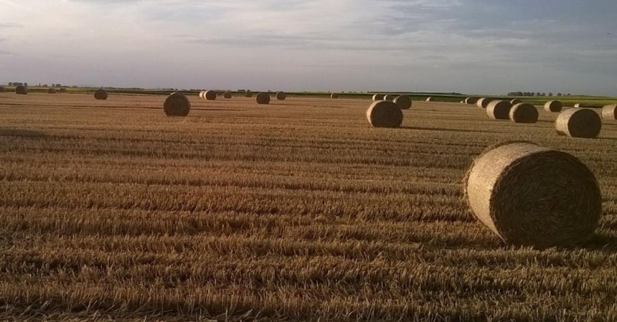 ARASZ Gazdálkodási Napló és Farm menedzsment! ARASZ Gazdálkodási Napló és Farm menedzsment!
