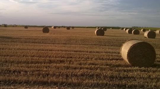 ARASZ Gazdálkodási Napló és Farm menedzsment! 