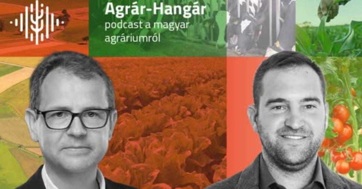 Derdák Gábor: A gazdálkodás a hivatásom – és egy kicsit a hobbim is Derdák Gábor: A gazdálkodás a hivatásom – és egy kicsit a hobbim is