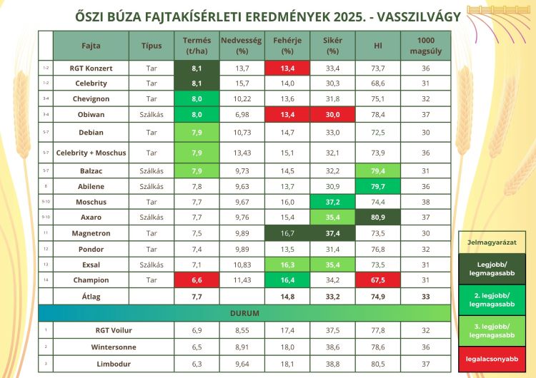 búzaverseny
