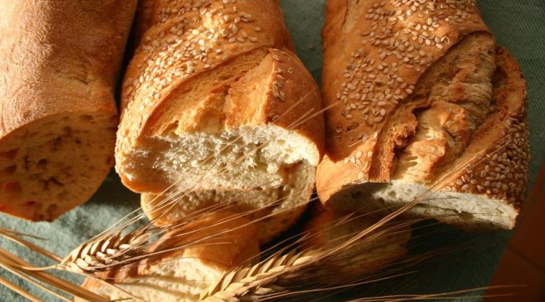Ezért lesz sorsdöntő év 2025 a magyar búzapiacon!