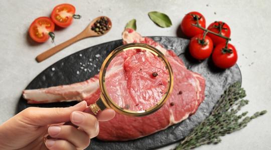 Lovas táborok, szikvizesek, fröccsteraszok: rajtol a nagy ellenőrzés-sorozat Lovas táborok, szikvizesek, fröccsteraszok: rajtol a nagy ellenőrzés-sorozat