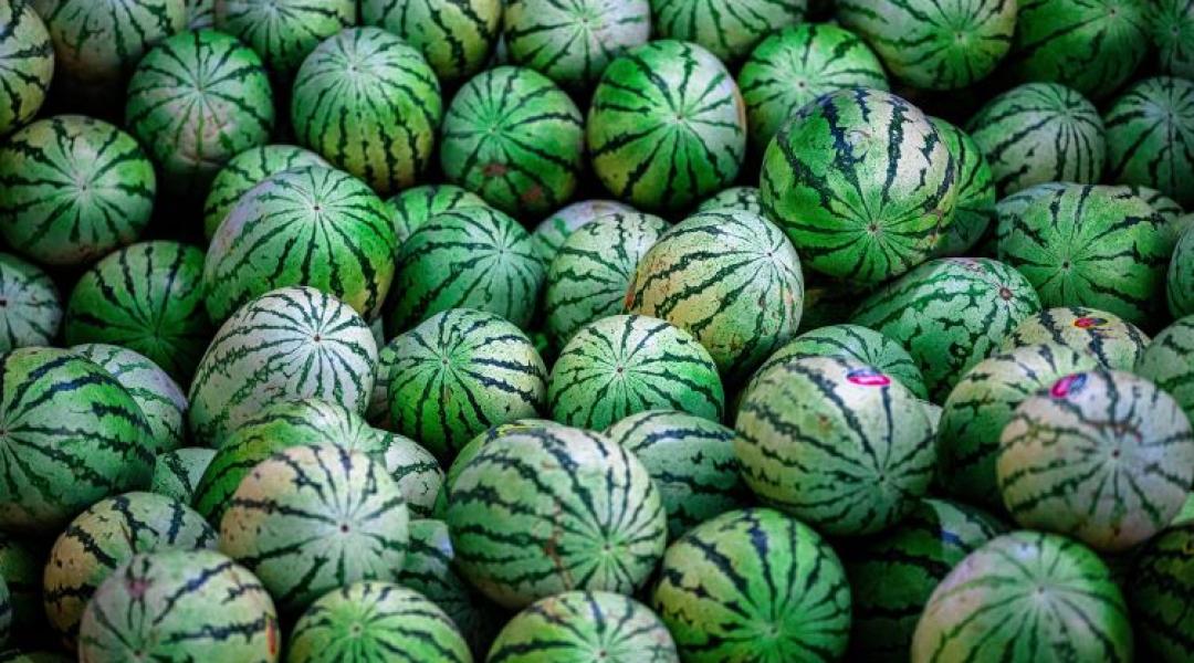 Ne nyomják le az árakat! – ezt kérik a magyar dinnyések