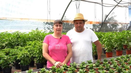 Ez a legjobb szakma a világon – Így lett sikeres zöldségesfarm egy kalotaszegi faluban +VIDEÓ Ez a legjobb szakma a világon – Így lett sikeres zöldségesfarm egy kalotaszegi faluban +VIDEÓ