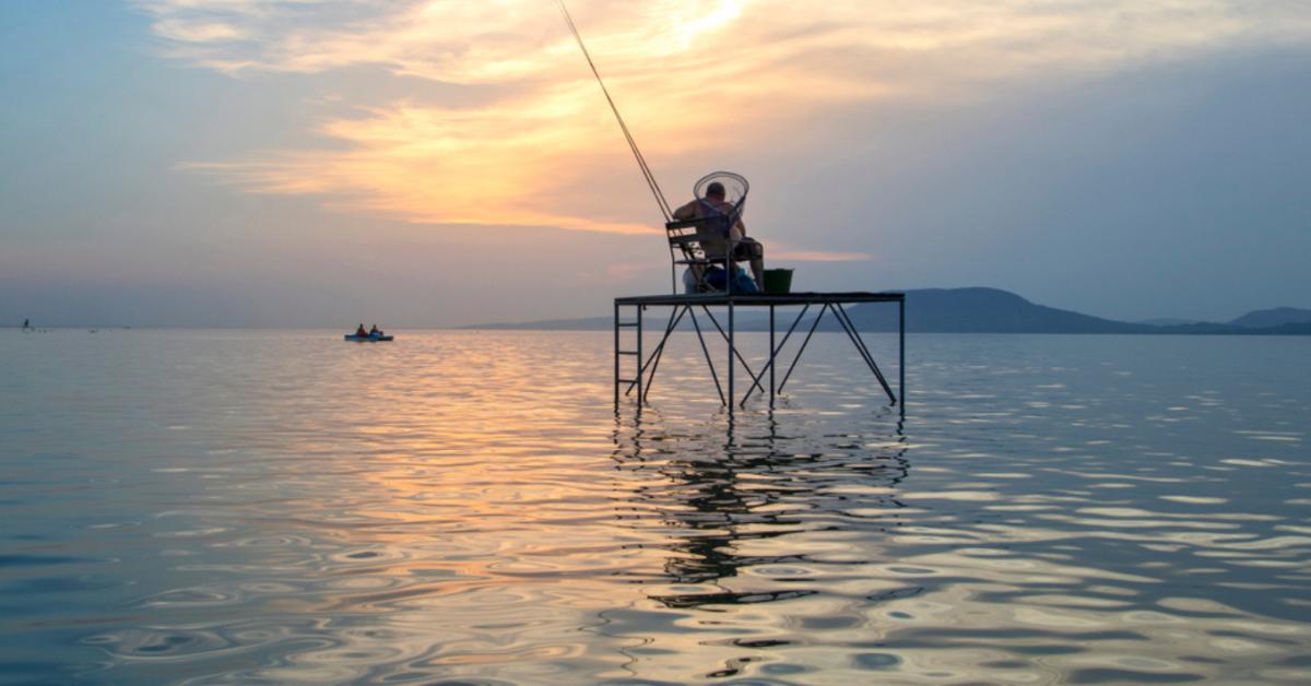 Ezért ne hekket egyél a Balatonnál! Ezért ne hekket egyél a Balatonnál!
