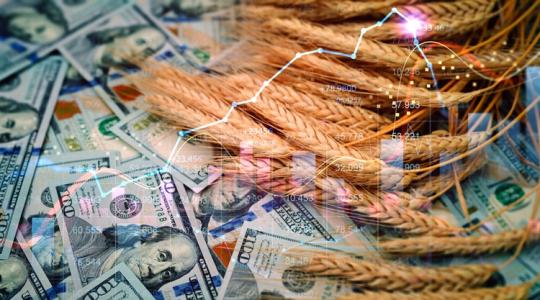 BRICS gabonacsere: Ebbe beleremeghet a magyar exportpiac is BRICS gabonacsere: Ebbe beleremeghet a magyar exportpiac is