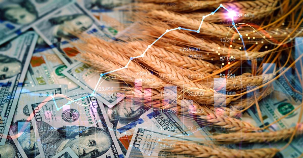 BRICS gabonacsere: Ebbe beleremeghet a magyar exportpiac is