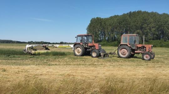 3 napos időjárás-előrejelzés: Nem sokáig hűsölhetünk, visszatér a hőség 3 napos időjárás-előrejelzés: Nem sokáig hűsölhetünk, visszatér a hőség