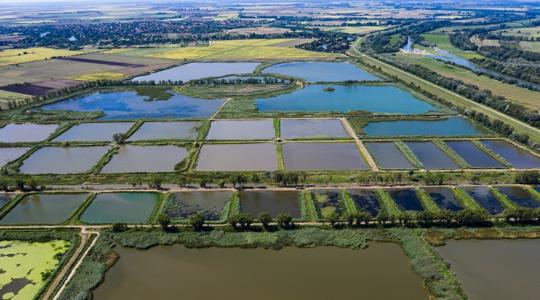 Most akár 60% támogatást is kaphatsz a gazdaságod modernizálásához Most akár 60% támogatást is kaphatsz a gazdaságod modernizálásához