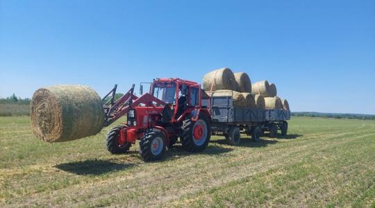 Hűsölni túl meleg, strandolni túl esős – ilyen idő lesz a hétvégén Hűsölni túl meleg, strandolni túl esős – ilyen idő lesz a hétvégén
