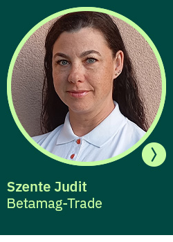 heti körkérdés