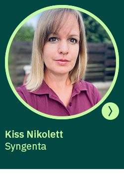 heti körkérdés