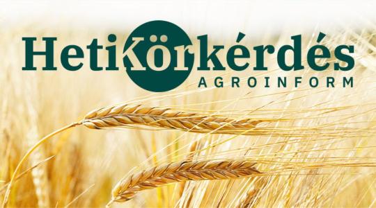 Miért összetett kérdés az őszi árpa fajtaválasztás? – Heti Körkérdés
