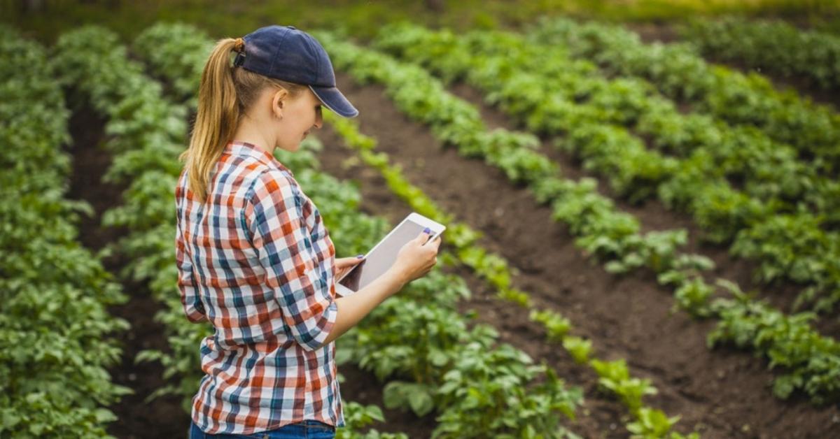 Munka a nyári szünetben: újabb rekordokat dönt a diákmunka-program