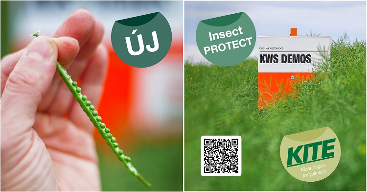 kws