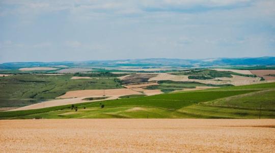 Módosítható-e a haszonbérleti díj? – Ezek a legfontosabb szabályok Módosítható-e a haszonbérleti díj? – Ezek a legfontosabb szabályok