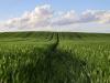 Ti is így látjátok? Megújulhat az agrárium? Optimista jövőkép az AgriBusiness Global-ban
