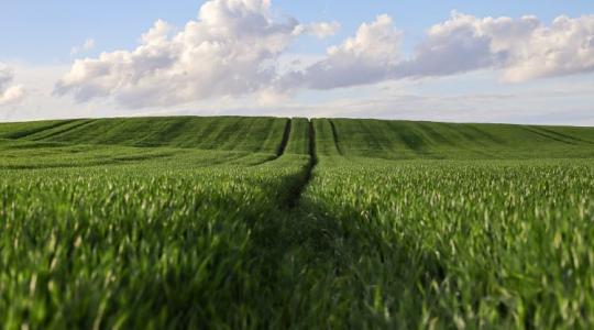 Ti is így látjátok? Megújulhat az agrárium? Optimista jövőkép az AgriBusiness Global-ban Ti is így látjátok? Megújulhat az agrárium? Optimista jövőkép az AgriBusiness Global-ban