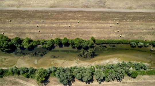 Lehangoló eredménnyel ért véget az aratás Békésben Lehangoló eredménnyel ért véget az aratás Békésben