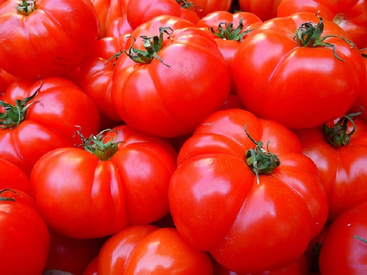 töltött paprika