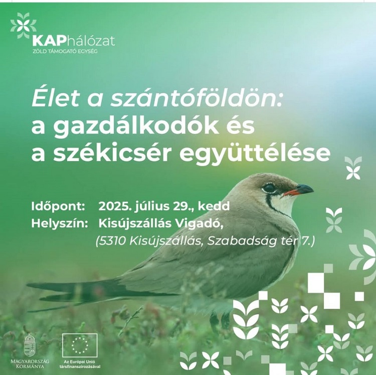 székicsér
