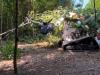 Tűzön-vízen át: miért imádják a galíciai borászok a Bobcatet? +VIDEÓ