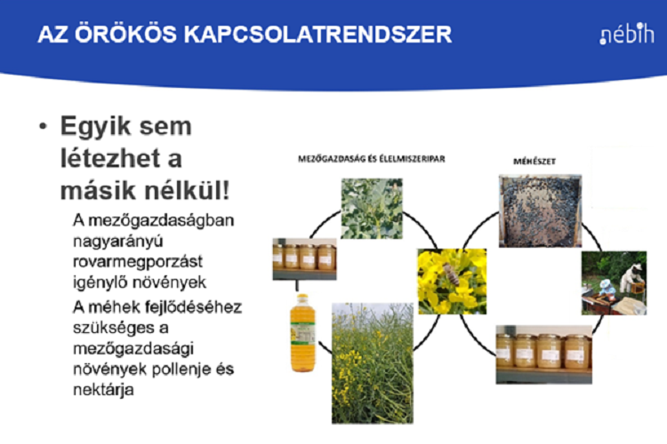 méhek