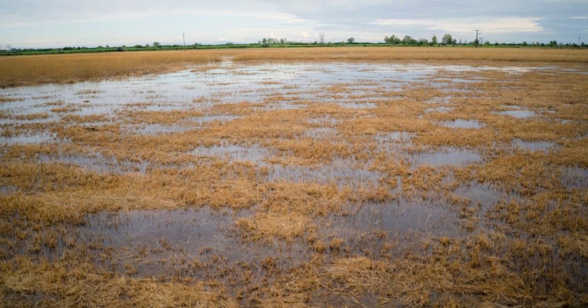 Dél-Heves: 2 millió köbméter víz betárolva Dél-Heves: 2 millió köbméter víz betárolva