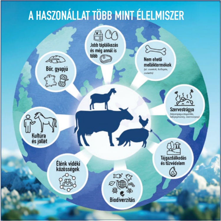 haszonállat