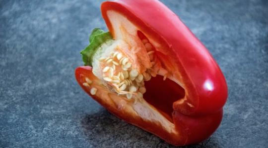 Vigyázz! Ezért nem kerülhet a komposztba a paprika csumája! Vigyázz! Ezért nem kerülhet a komposztba a paprika csumája!