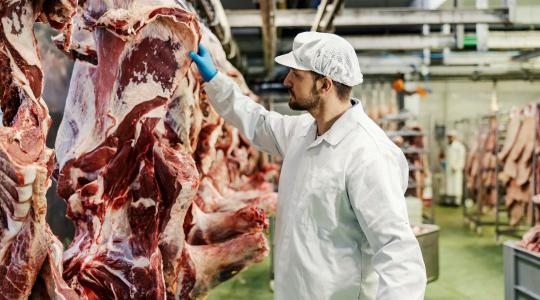 Szigorúbb uniós szabályok jönnek a húsüzemekben és vadfeldolgozóknál