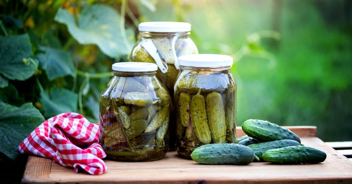 Kovászos uborka házilag: kiszámoltad már, hogy megéri-e? Kovászos uborka házilag: kiszámoltad már, hogy megéri-e?