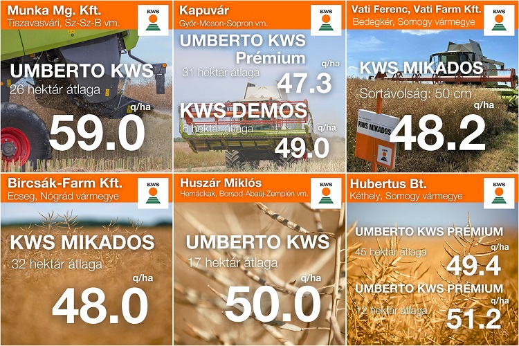 kws