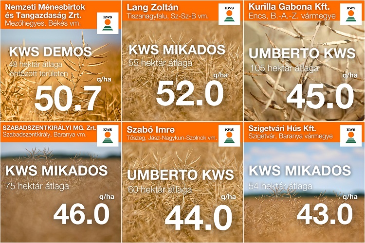 kws