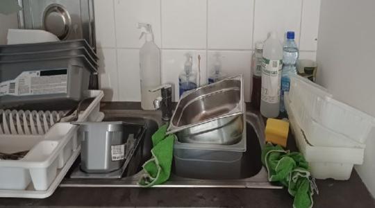 Légy a fagyiban, káosz a pulton: lehet, hogy itt ettél legutóbb! Légy a fagyiban, káosz a pulton: lehet, hogy itt ettél legutóbb!